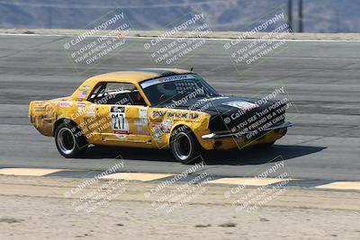 media/Oct-11-2025-Lucky Dog Racing (Sat) [[f5b53147c4]]/2-First Stint/4-Bowl/